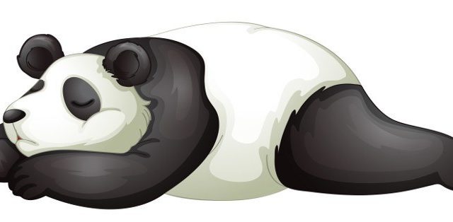 Panda vesztesek