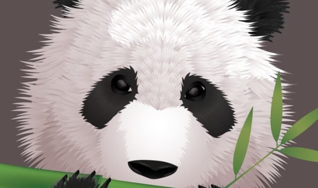 Panda tanácsok