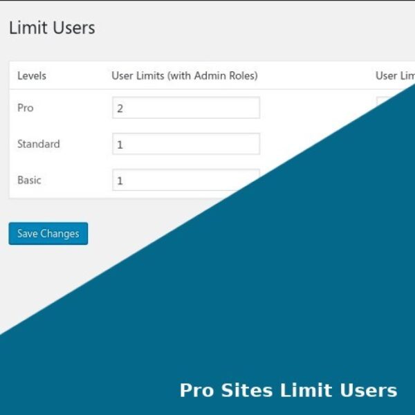 Pro Sites Limit Users